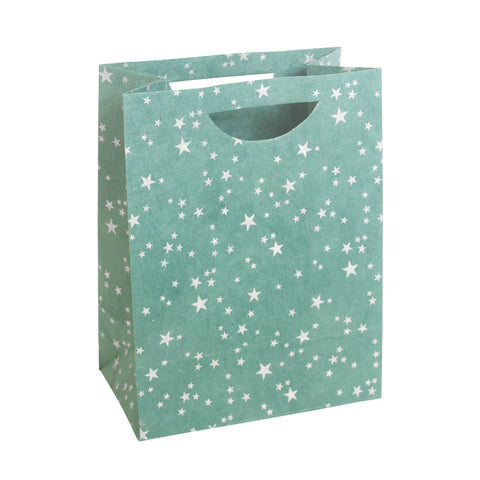 Large Gift Bag - Silver Stars on Green