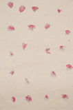 Gift Wrap - Rose Petals - Gift Wrap - Anglesey Paper Company  - 2